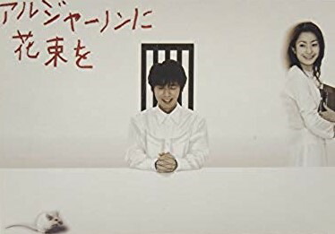 楽天市場】アルジャーノンに花束を DVD-BOX ユースケ・サンタマリア