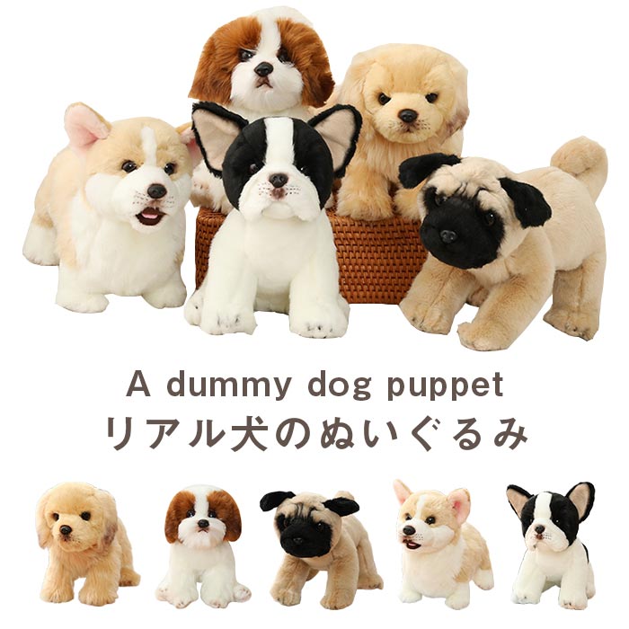 パグ ぬいぐるみ」の人気商品一覧 | 安い商品を通販サイトから探す