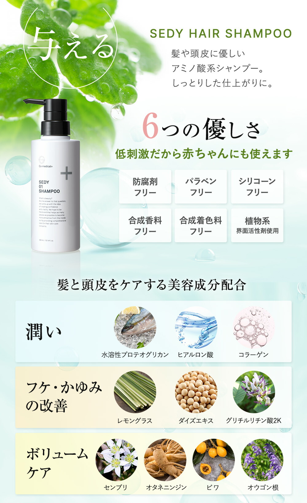 楽天市場】【公式ストア】 CO SEDY 01 シャンプー 300mL アミノ酸系