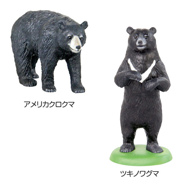 楽天市場】クマ 動物 リアル フィギュア 立体図鑑 ワイルドベアー