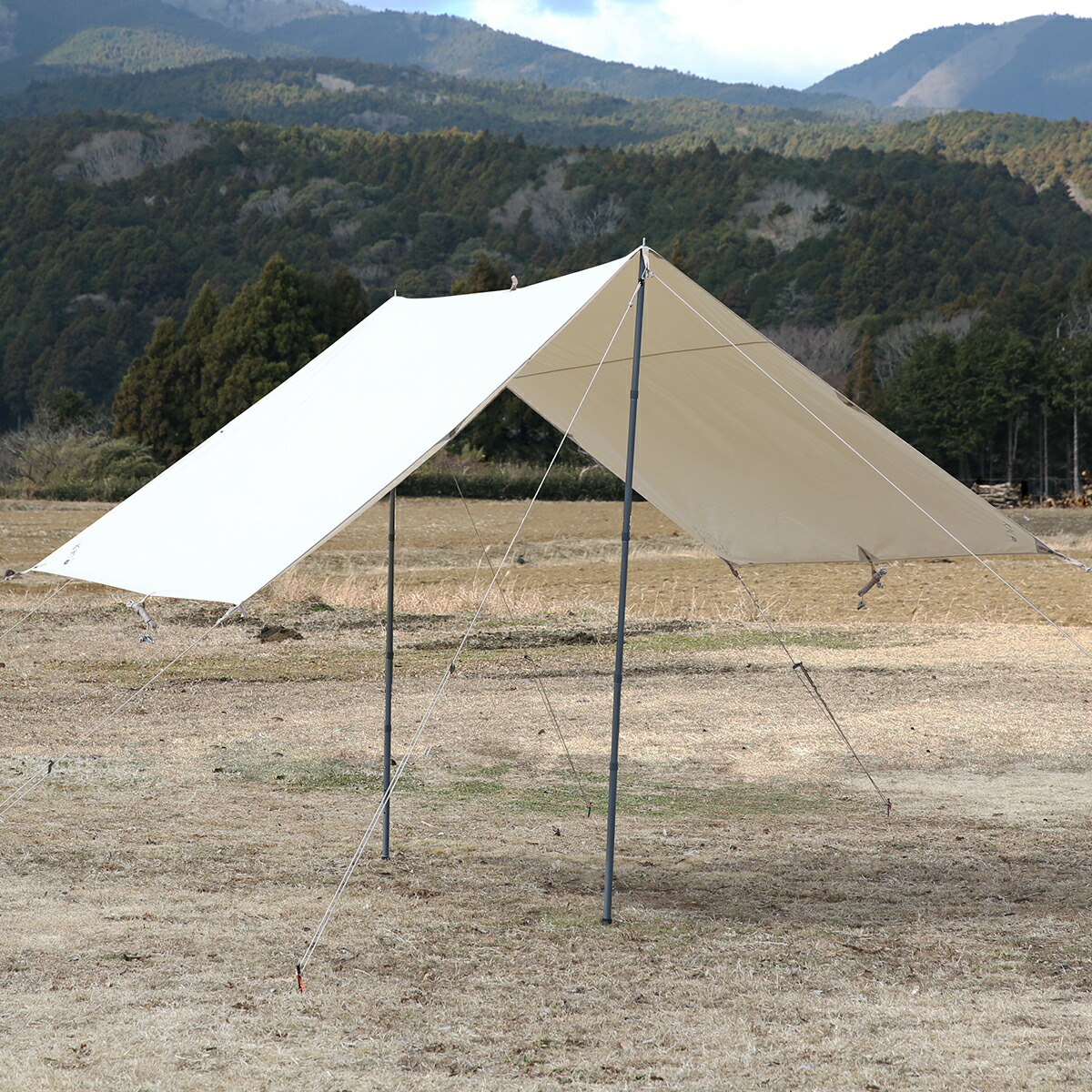 楽天市場】【ポイント5倍 3/1】ノルディスク カーリ12 タープ 【2022年