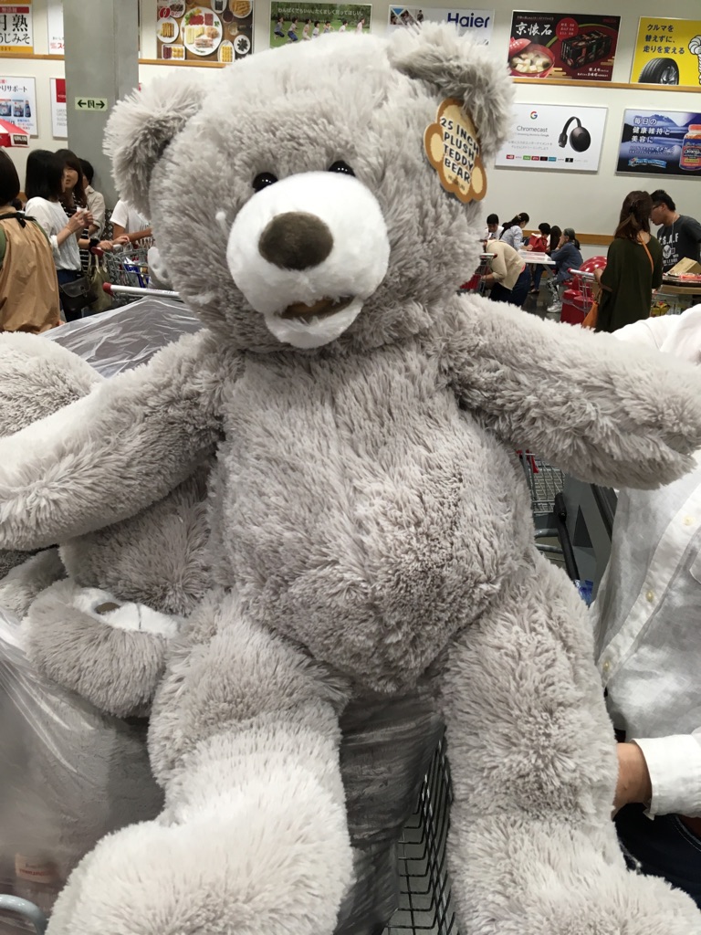 楽天市場】【生活雑貨】【コストコ】くま ぬいぐるみ 全長64cm PLUSH