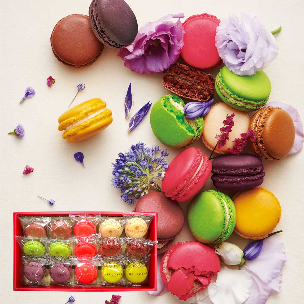 楽天市場】ダロワイヨ 季節のマカロン入り詰め合わせ（15個入）【送料