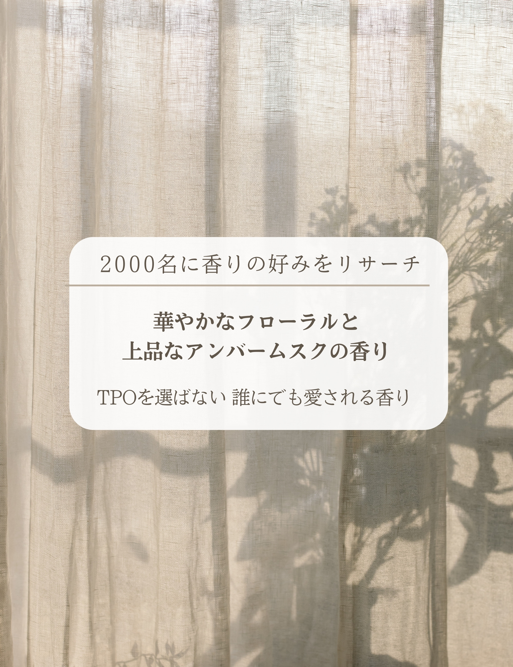 楽天市場】髪質改善美容室ディアーズ シャンプー01 リフィル 詰替え で
