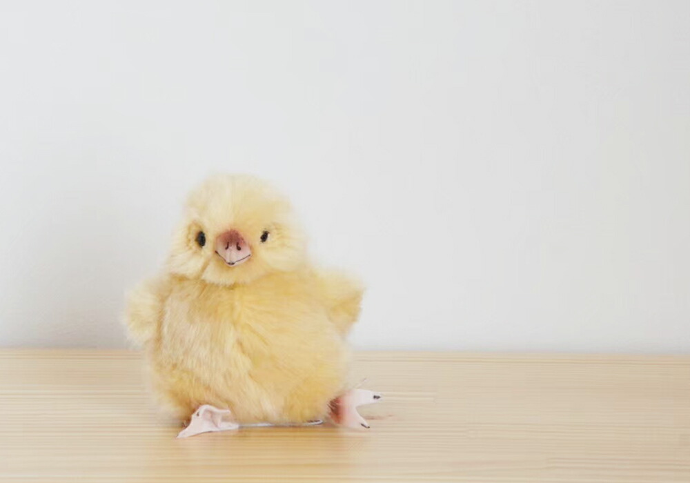 楽天市場】【在庫あり】Kosen ケーセン ドイツ製 ぬいぐるみ ひよこ 黄