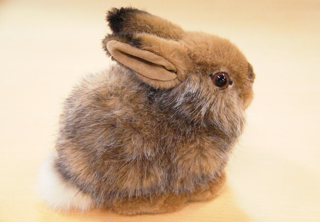 楽天市場】Kosen ケーセン ドイツ製 ぬいぐるみ 野うさぎのこ（ ギフト