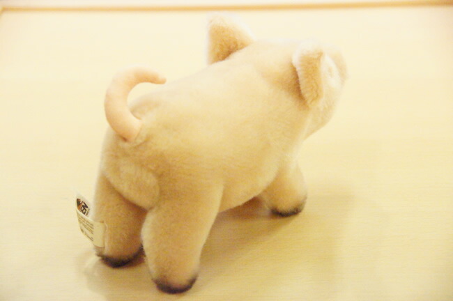 楽天市場】【在庫あり】Kosen ケーセン ドイツ製 ぬいぐるみ こぶた