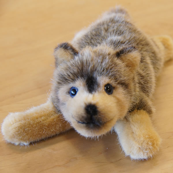 楽天市場】Kosen ケーセン ドイツ製 ぬいぐるみ オオカミの子（伏せ