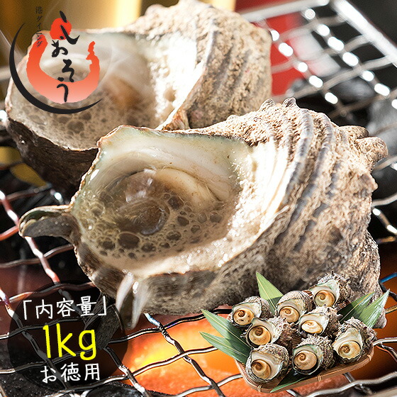 楽天市場】【同梱不可】 サザエ さざえ 特大サイズ 1kg 天然 （1粒110g