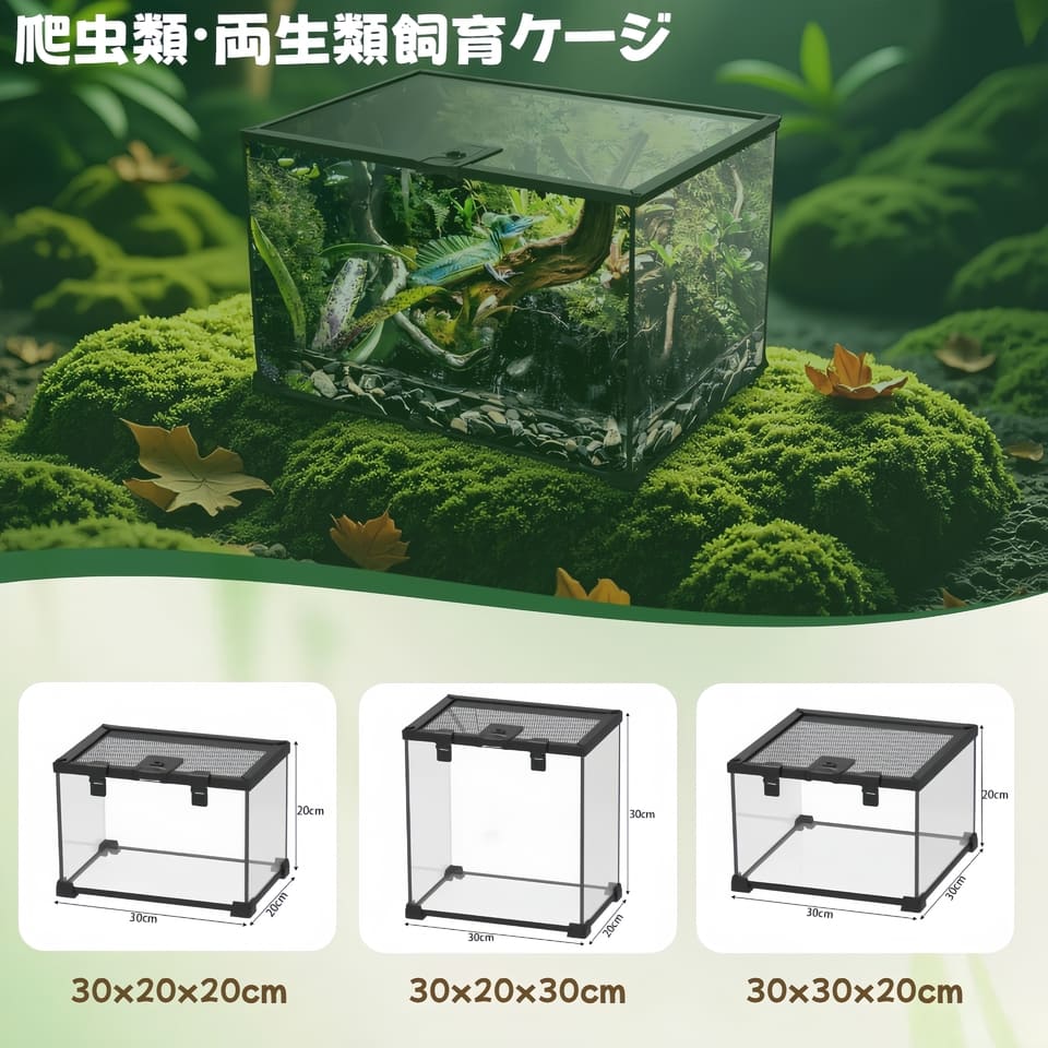 楽天市場】DMB自社製爬虫類飼育 両生類 飼育ケージ ガラスケージ