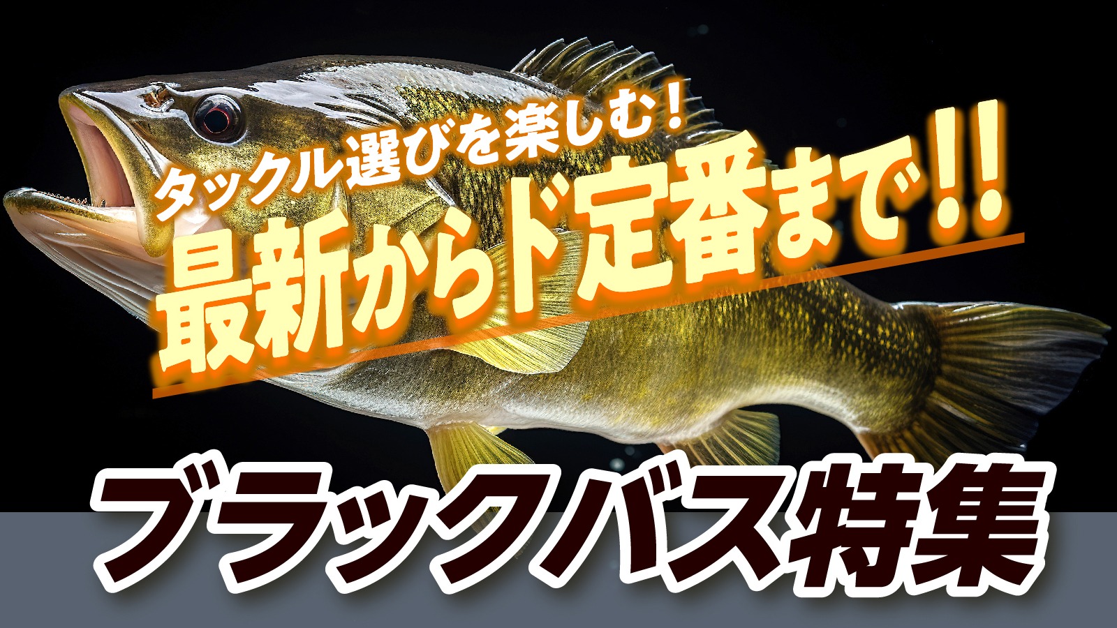 楽天市場 | dn e-shop - ブラックバス特集