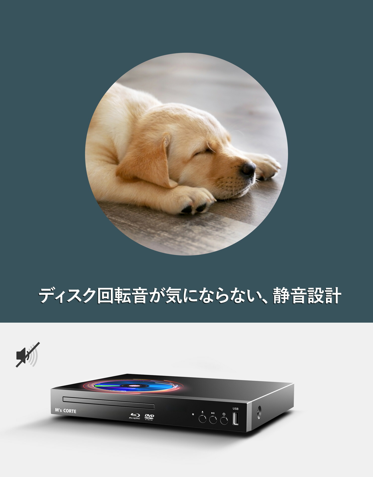 楽天市場】ダイニチ電子 国内メーカー M's CORTE HD 1080P ブルーレイ