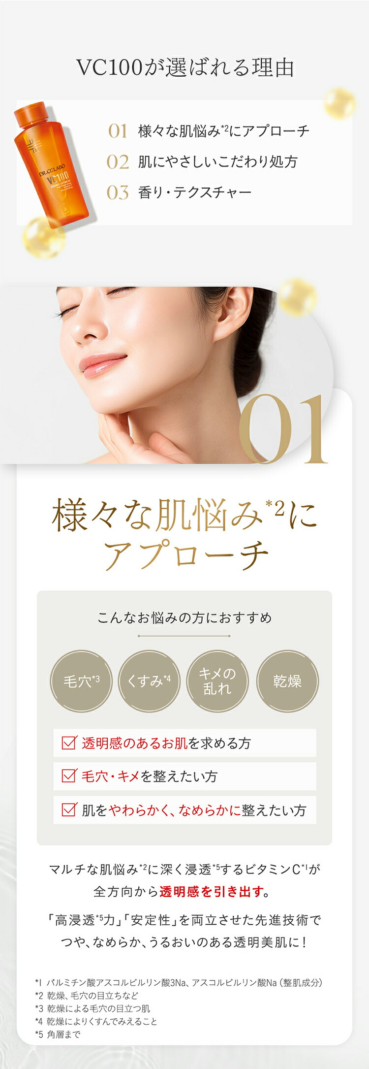 楽天市場】【公式】[EC限定] 鉄板BIG×BIG レフィルセット