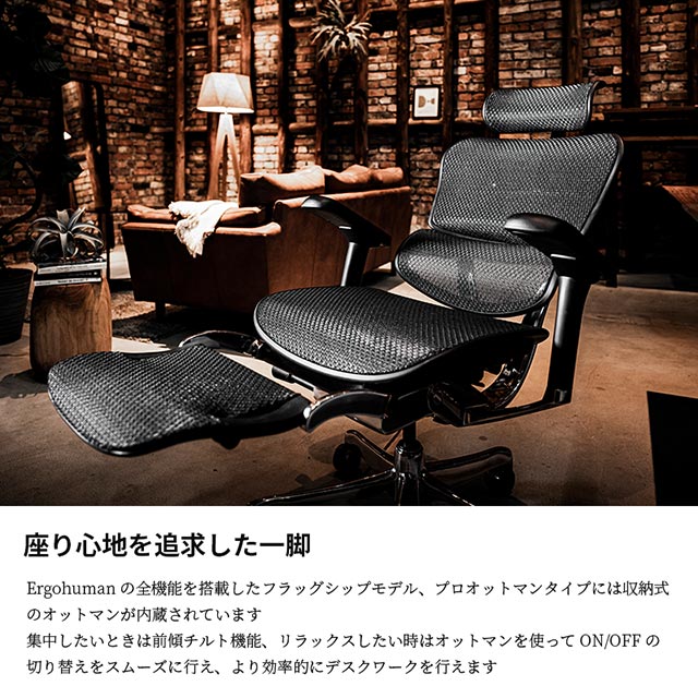 楽天市場】2025年新型 レビュー特典あり エルゴヒューマン プロ2