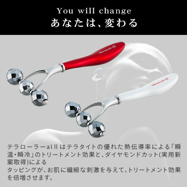 楽天市場】テラローラー アイ2 テラタイトローラー 美顔ローラー 次