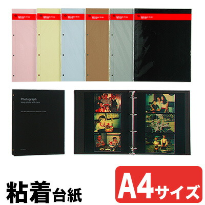 楽天市場】デルフォニックス アルバム lサイズの通販