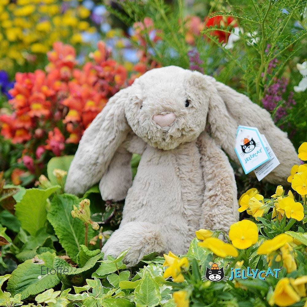 楽天市場】【正規販売店】【選べる包装】Jellycat Bashful Beige Bunny