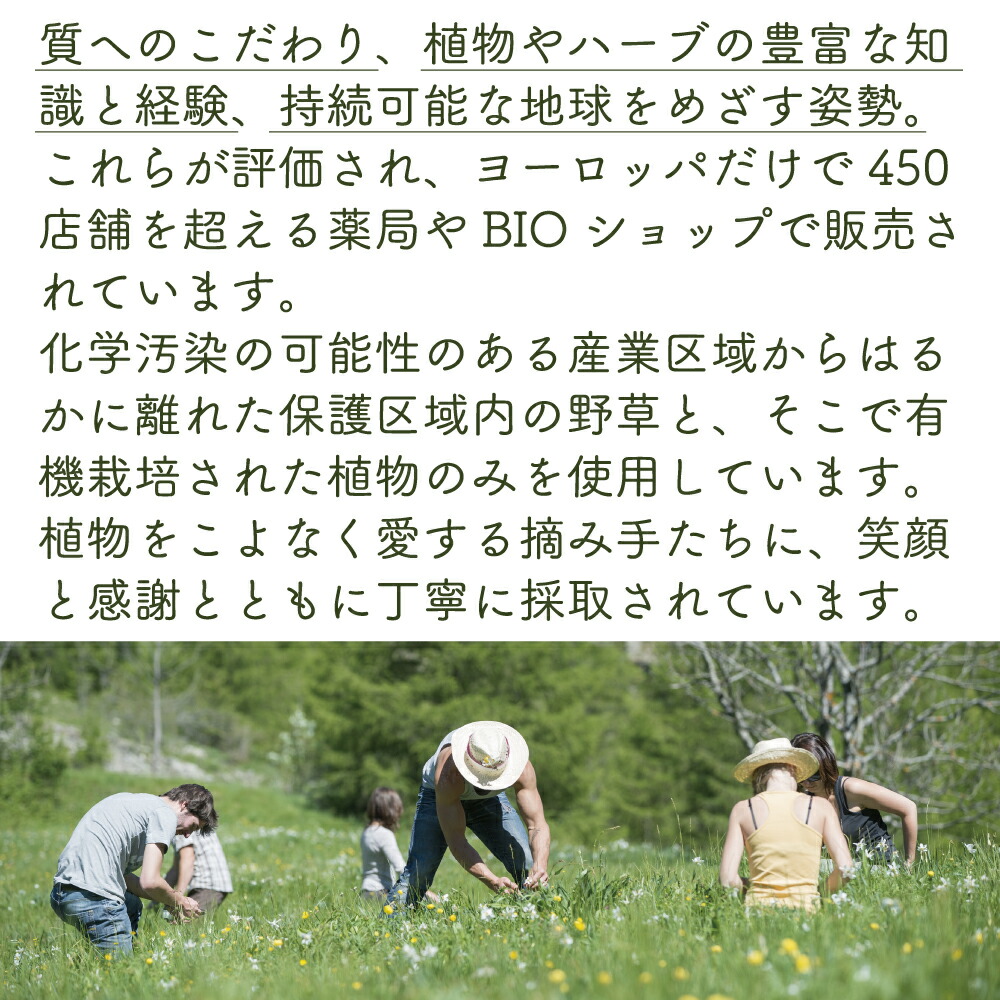 楽天市場】ジェモセラピー クルミ おなか バランス 腸活 無添加 無農薬