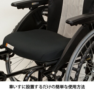 楽天市場】エクスジェル メーカー公式 EXGEL アウル サポート シート