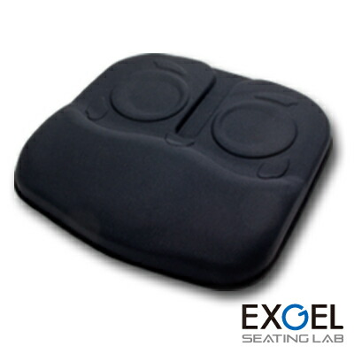 楽天市場】エクスジェル メーカー公式 EXGEL アウル サポート シート