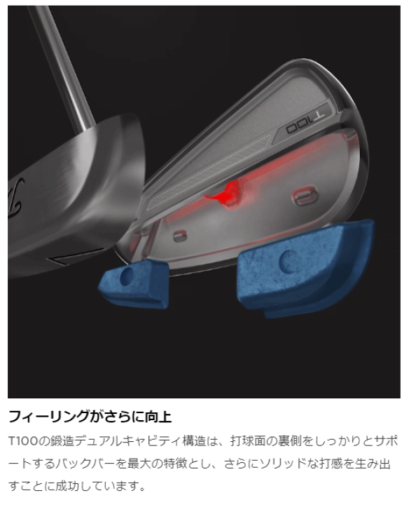 楽天市場】Titleist タイトリスト 日本正規品 T100 アイアン スチール