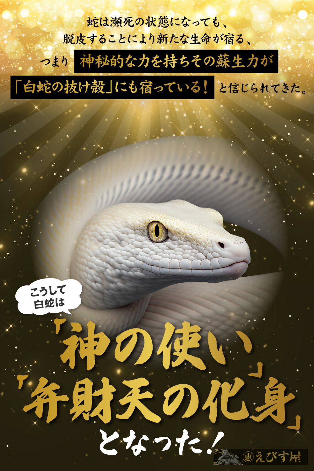 60サイズ一杯分！白ヘビの抜け殻纏め売り 60サイズ一杯分！白ヘビの