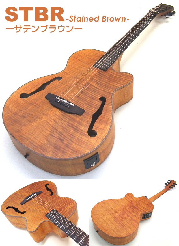 楽天市場】エレアコ アリア ARIA FET-F2 アコギ スタート 初心者 12点