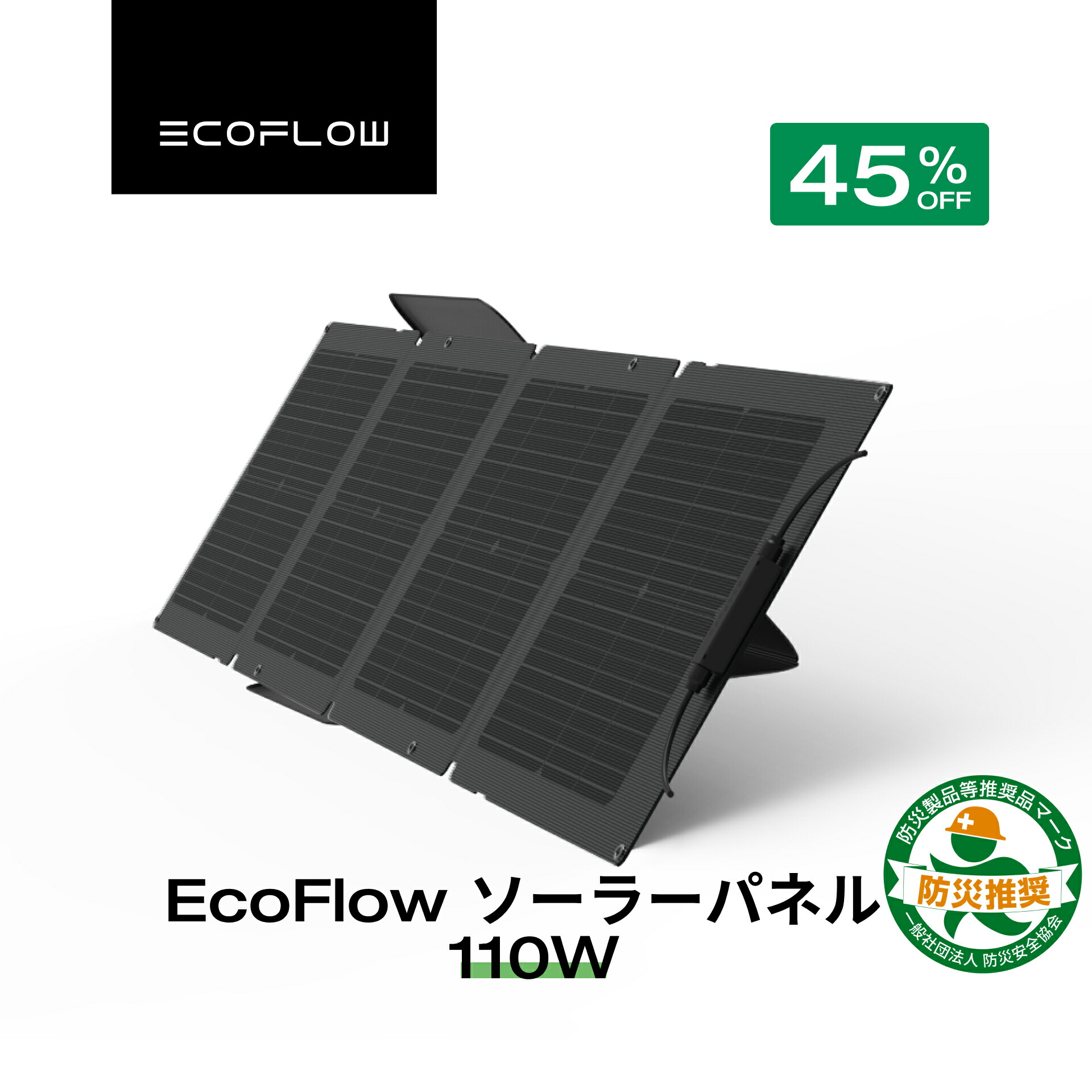 楽天市場】【クーポン利用で18,150円☆2/28~特別セール】EcoFlow