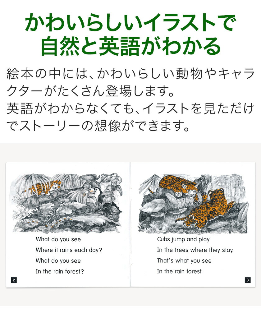 楽天市場】Phonics Readers レベルE フォニックス 英語絵本12冊セット
