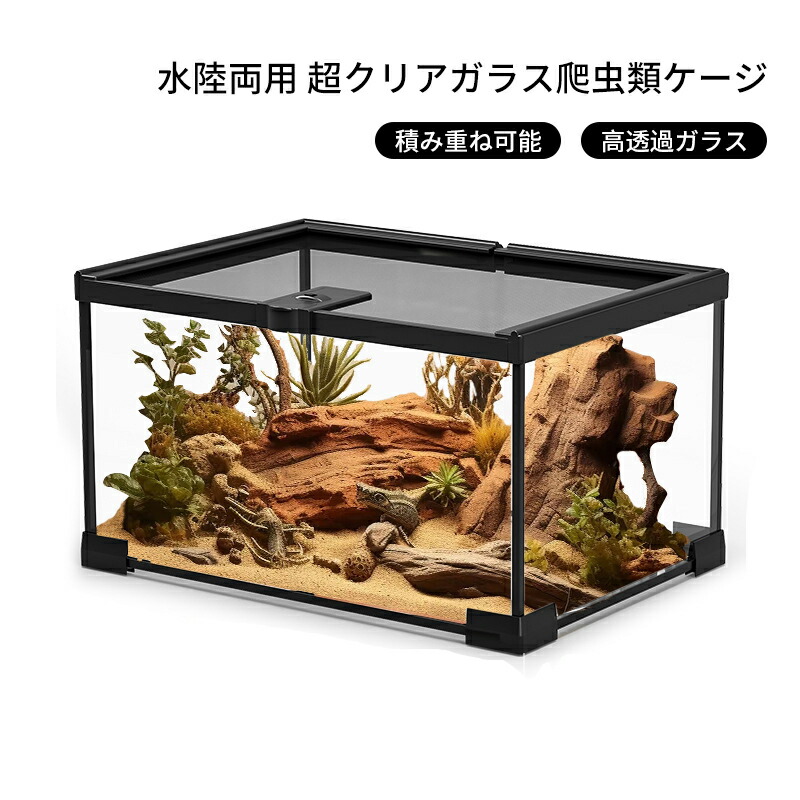 楽天市場】水陸両用 爬虫類ケージ テラリウム 爬虫類 飼育ケース 飼育