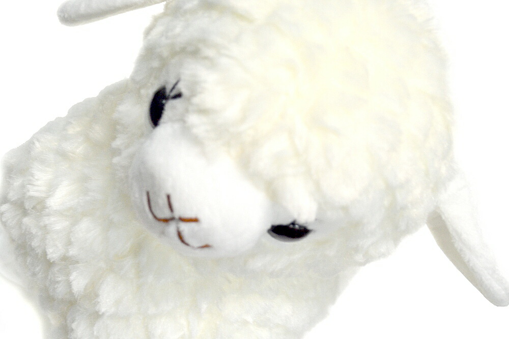 楽天市場】ぬいぐるみ キュートラム こひつじラムちゃん cute lamb 1匹