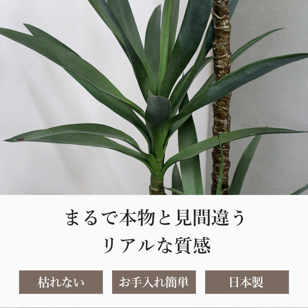 楽天市場】観葉植物 ユッカラン4L 造花 インテリア おしゃれ 大型