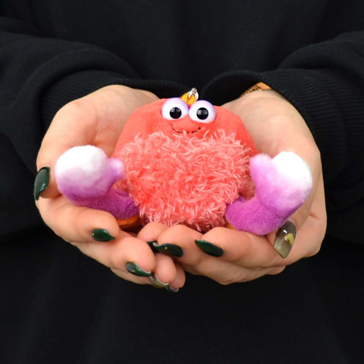 楽天市場】【日本正規代理店】NICI(ニキ) サンセットドリーム2024 カニ