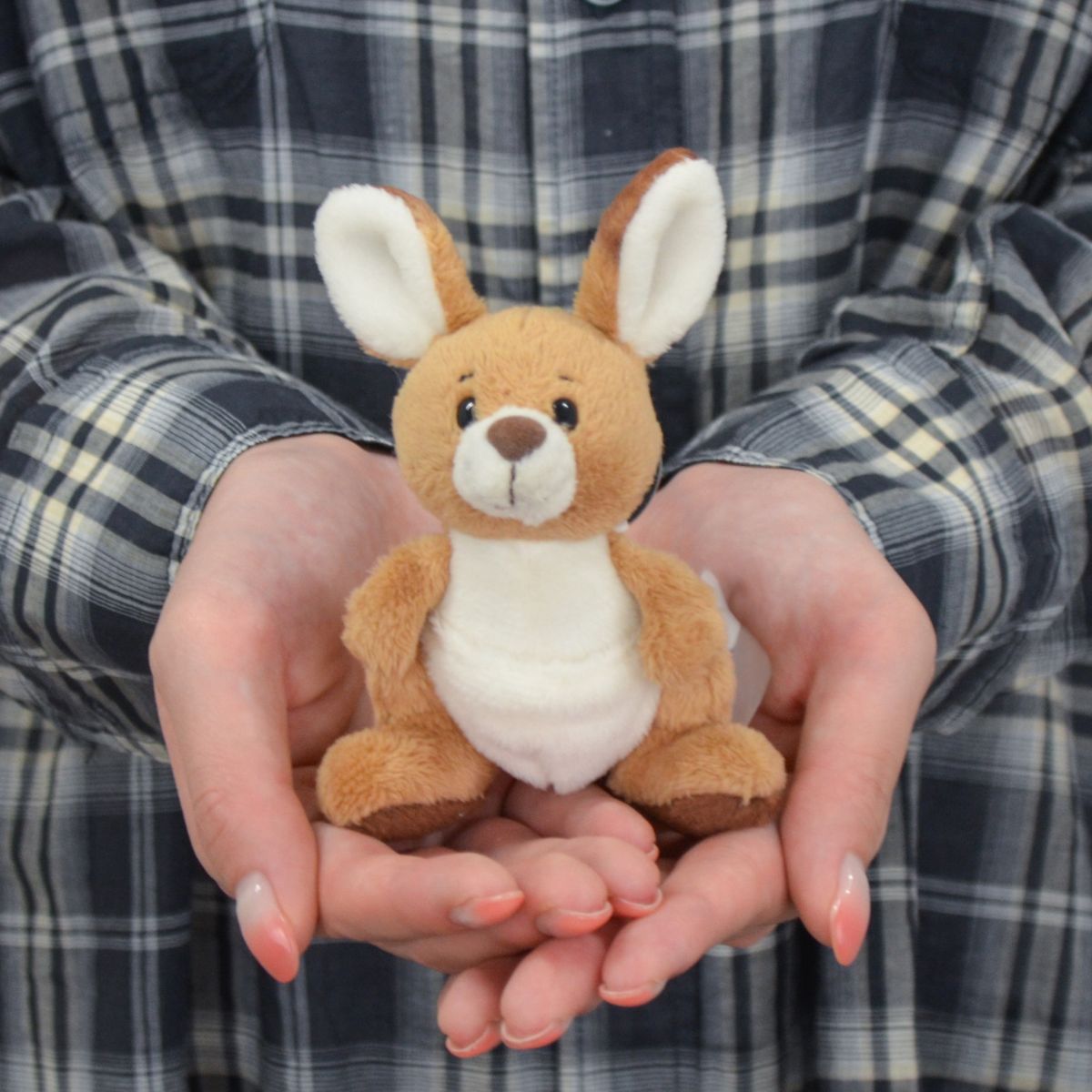 楽天市場】【日本正規代理店】NICI(ニキ) キーホルダー WF25