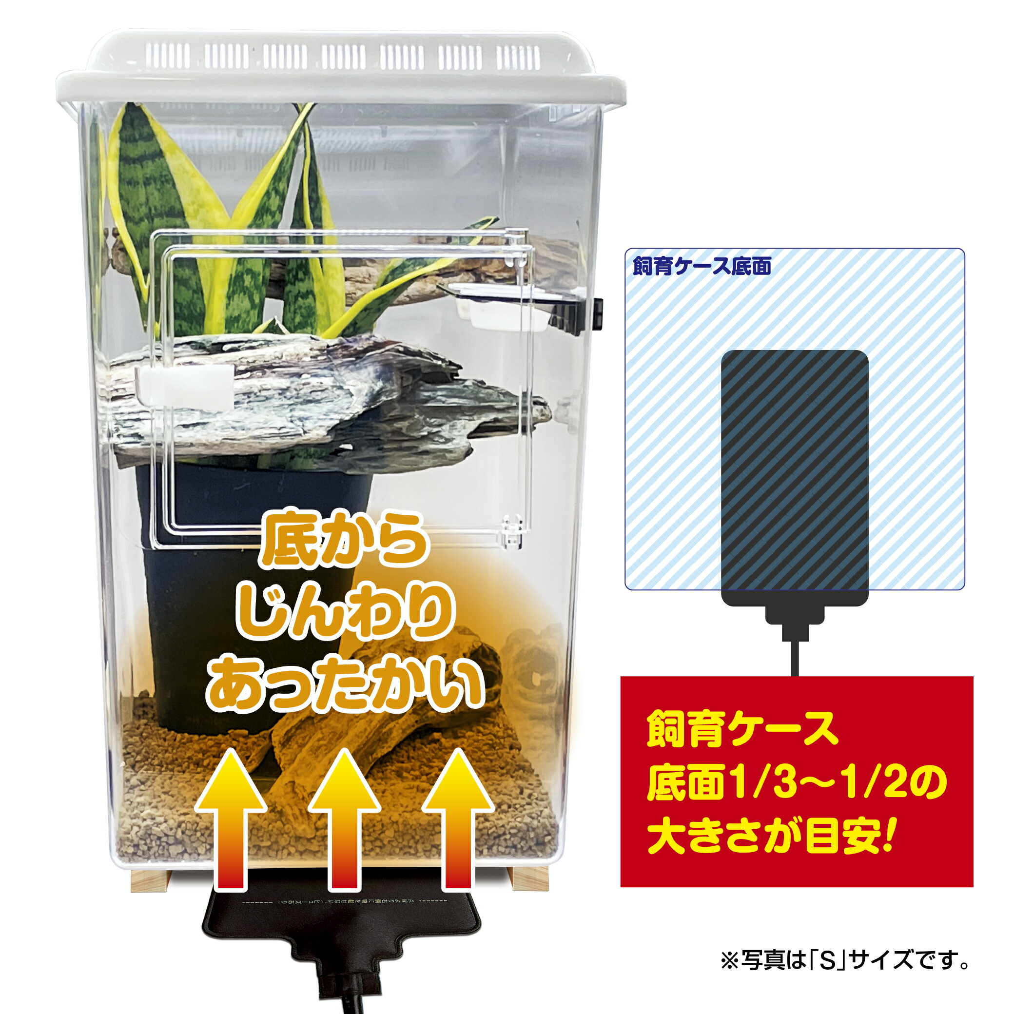 楽天市場】スドー クレス お迎え 飼育セット レプティギア・ハイ300