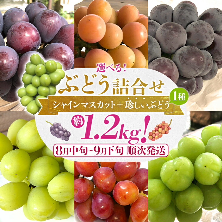楽天市場】【ふるさと納税】選べる ぶどう詰合せ（シャインマスカット