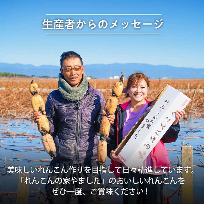 楽天市場】【ふるさと納税】【2026年1月以降発送】【農家直送