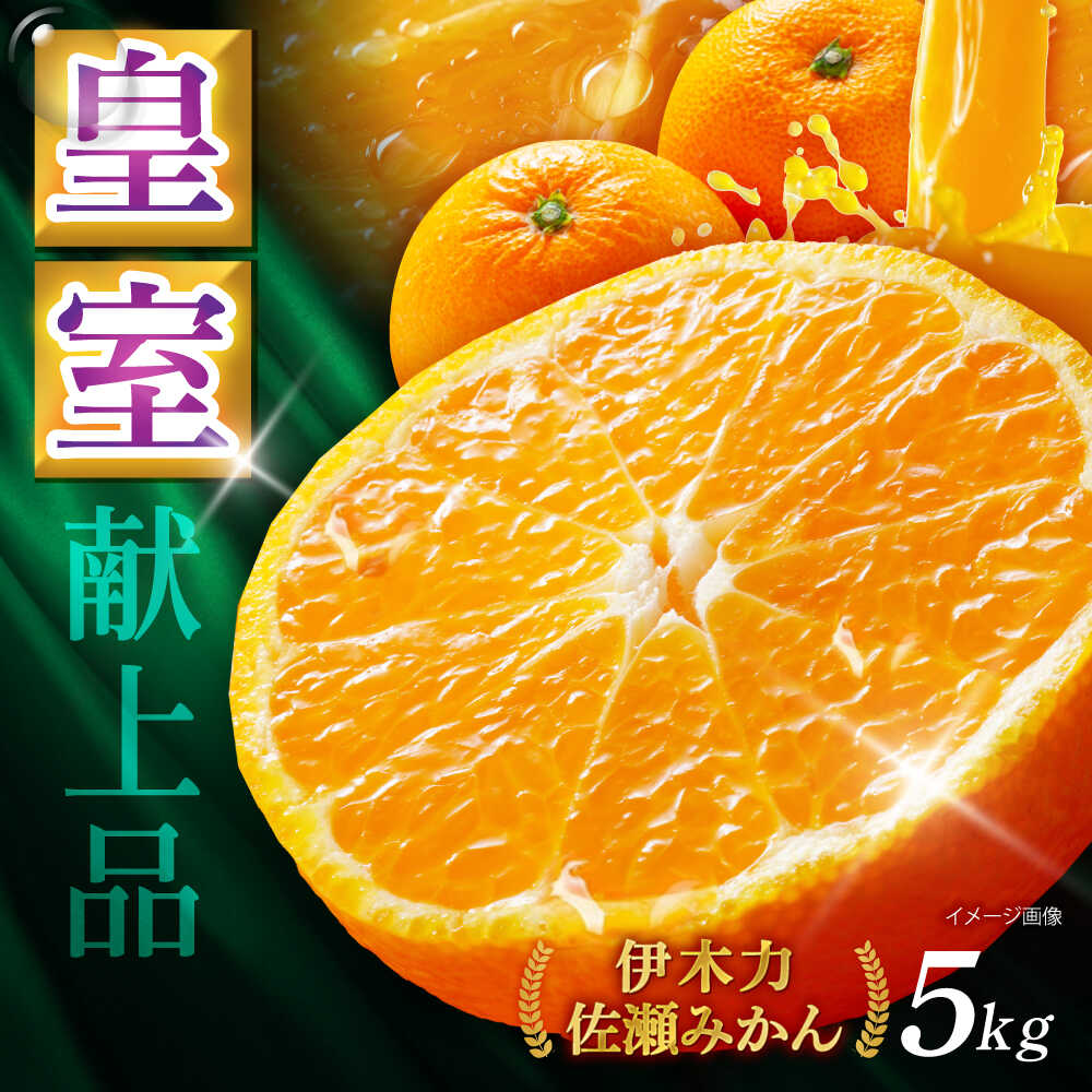 楽天市場】【ふるさと納税】※【2026年12月より順次発送／先行予約