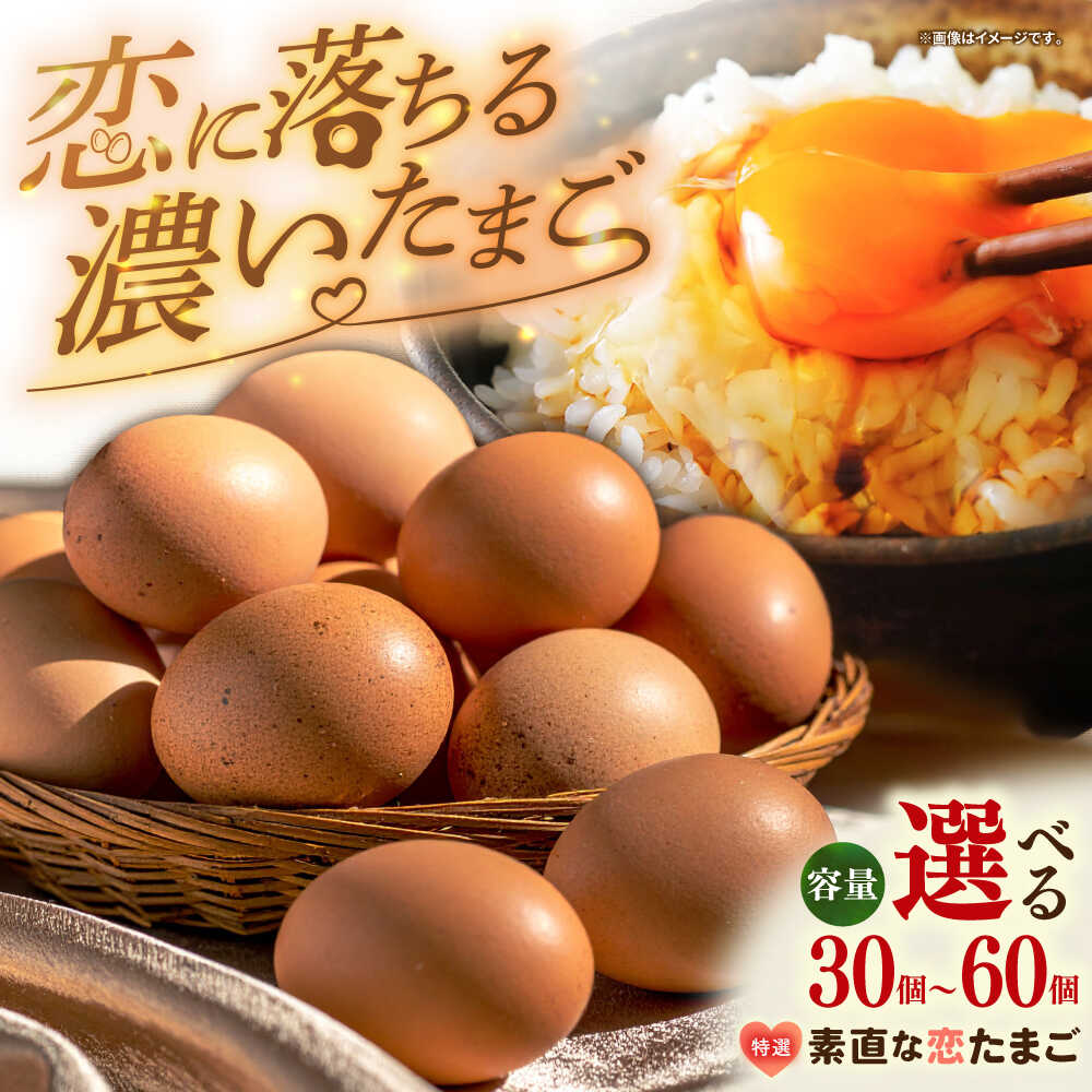楽天市場】【ふるさと納税】特選 素直な恋たまご 30個 / 50個 / 60個