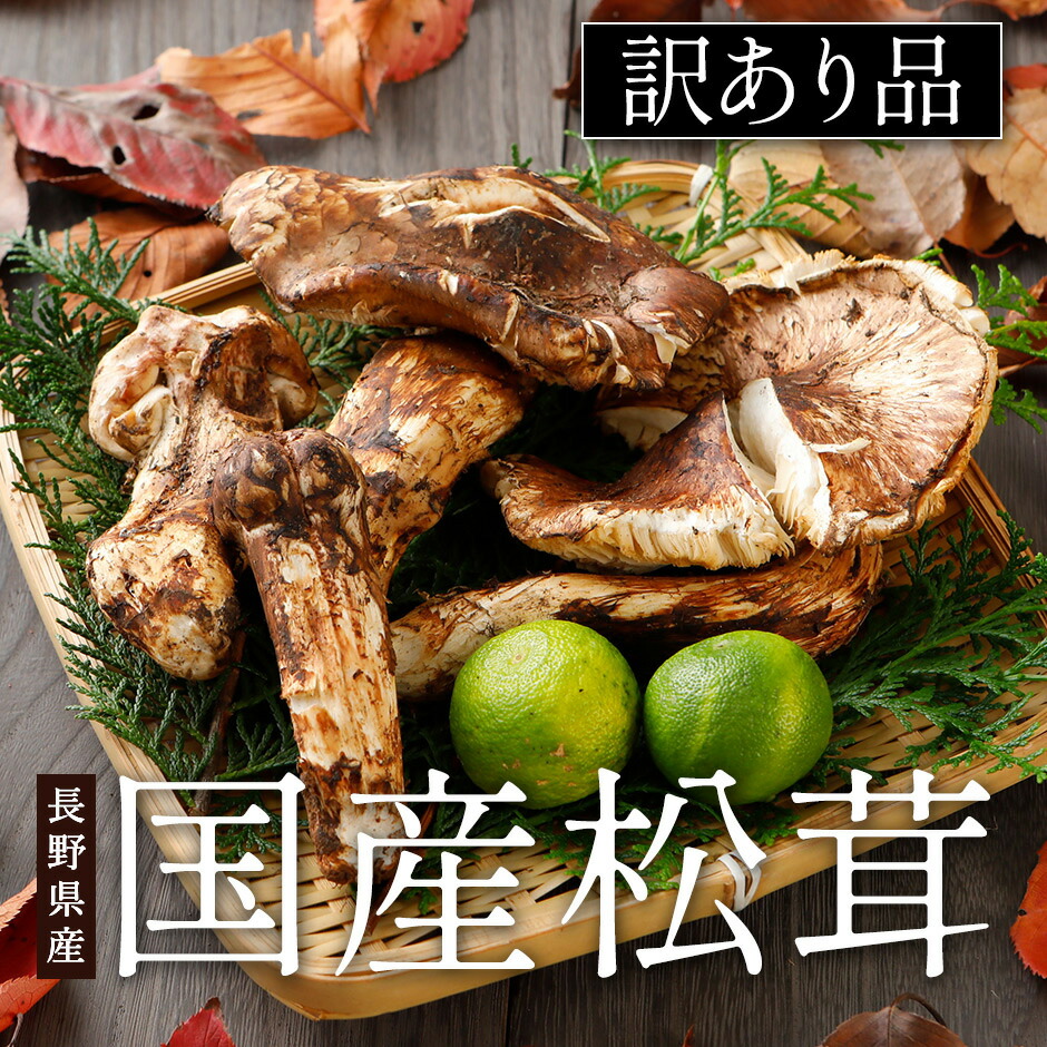 楽天市場】2026年9月以降分予約 【全額返金】訳あり 国産 松茸 300g