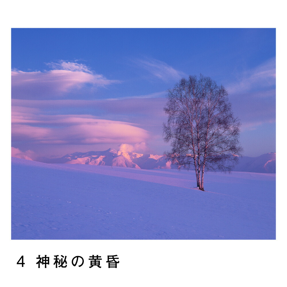 楽天市場】【ふるさと納税】前田真三 額付き写真（白木額） キャビネ