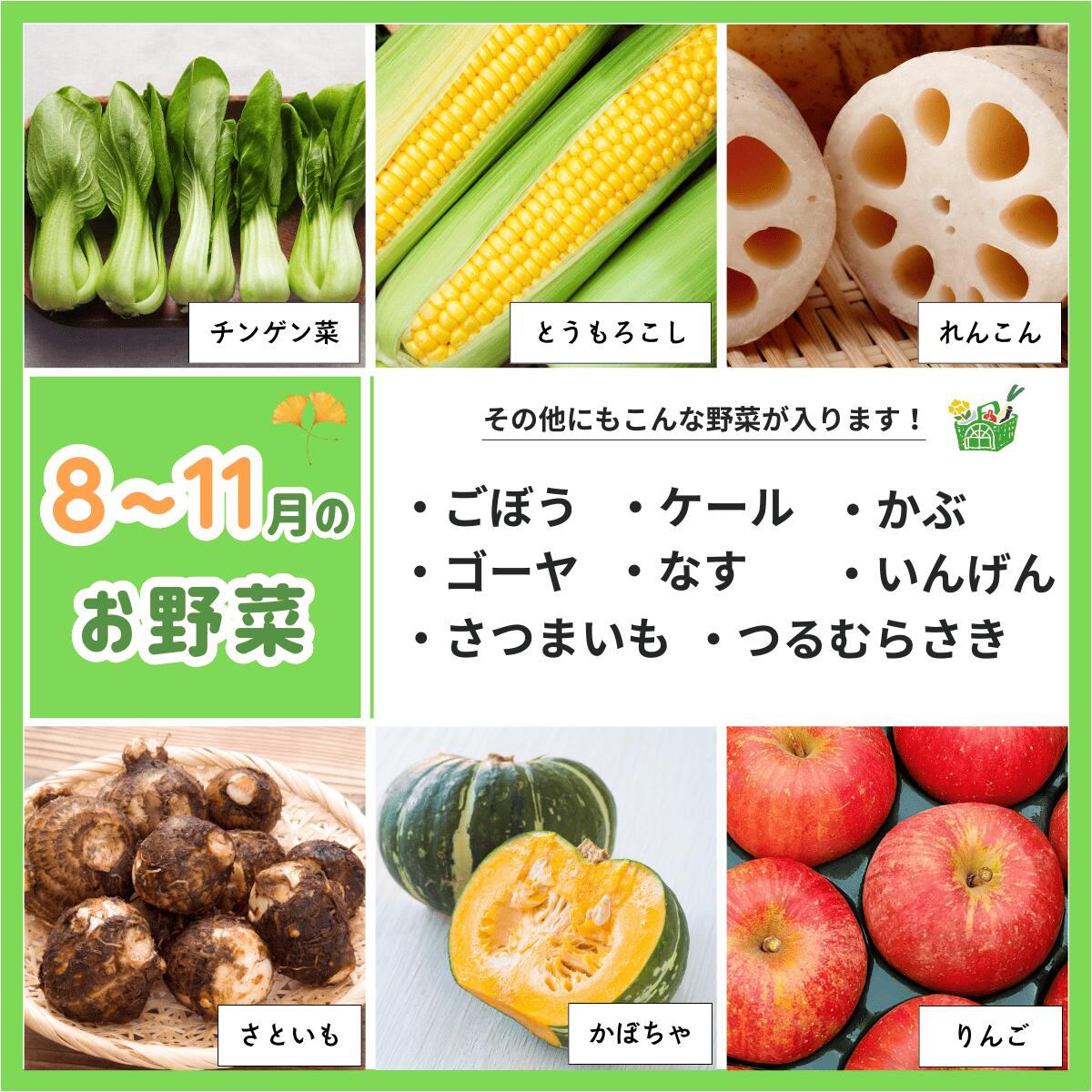 楽天市場】【ふるさと納税】旬 新鮮 野菜セット 7〜8品 野菜