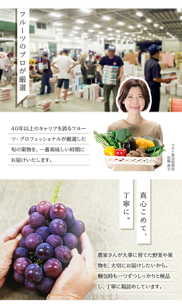 楽天市場】【ふるさと納税】≪3回定期便≫ 美味しい3種の刈屋梨2026 8