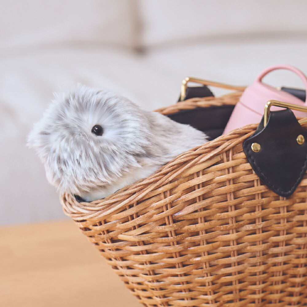 楽天市場】【ふるさと納税】 カシオ 「 Moflin 」 AIペットロボット PE