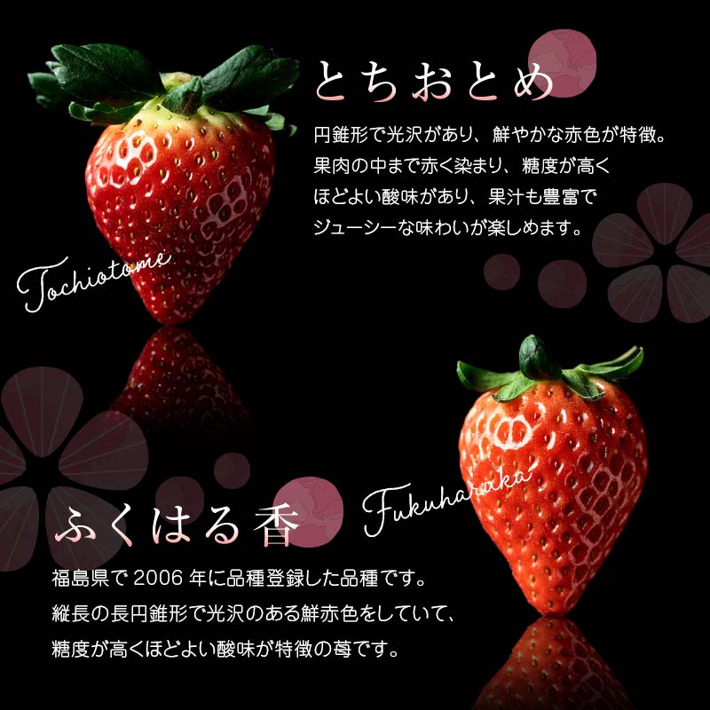 楽天市場】【ふるさと納税】＜2026年発送＞完熟 いちご 贅沢食べ比べ 4