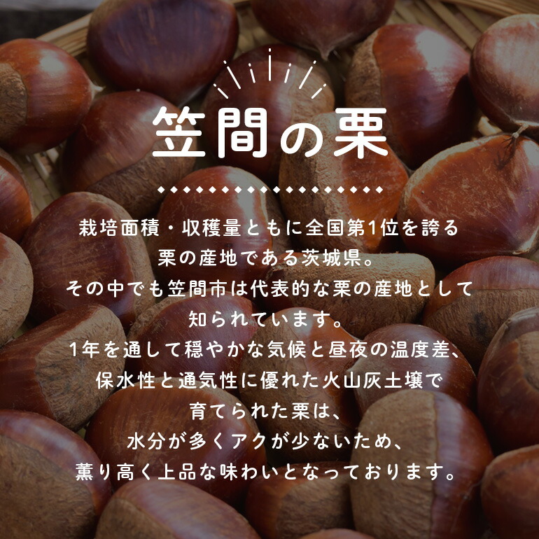 楽天市場】【ふるさと納税】【先行受付】入 やなわぁ工房の生栗 3L 約