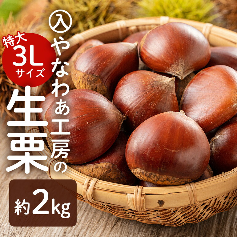 楽天市場】【ふるさと納税】【先行受付】入 やなわぁ工房の生栗 3L 約