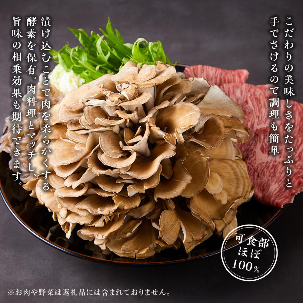 楽天市場】【ふるさと納税】雪国まいたけ 極 1株【1株約900g】 これが