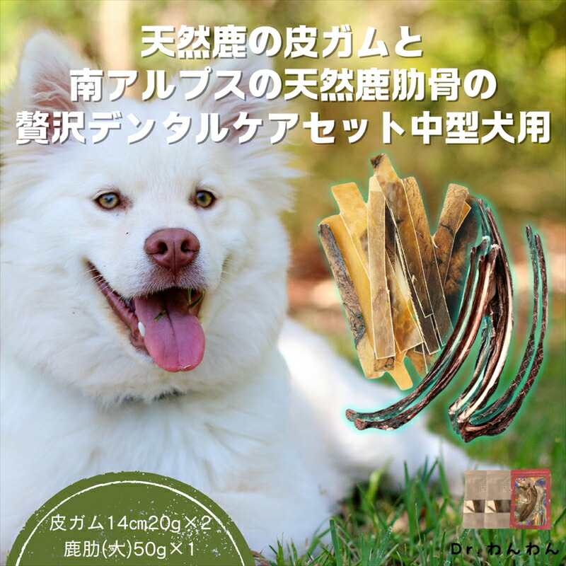 楽天市場】【ふるさと納税】 6-82 天然鹿の皮ガムと南アルプスの天然鹿