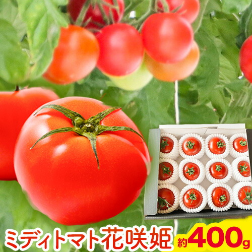 楽天市場】【ふるさと納税】【先行予約】ミディトマト 花咲姫 400g